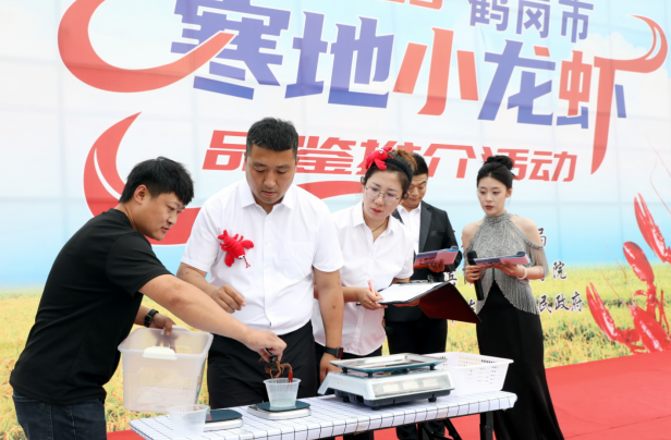 stron, 品鉴区就排